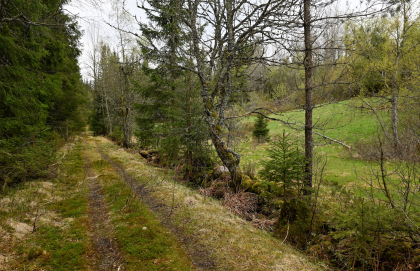 Kleveland, Evje, steingjerde