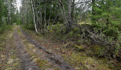 Kleveland, Evje, steingjerde/rydningsr&oslash;ys