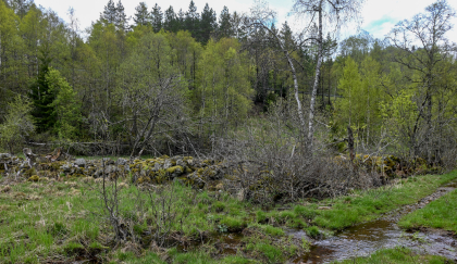 Kleveland, Evje, steingjerde