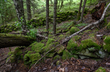 Skore, Bygland, steingjerde