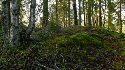 R&oslash;yrtveit, Evje, gravhaug
