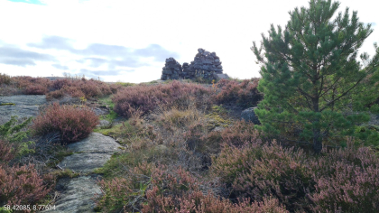 Loshytta p&aring; Havs&oslash;y