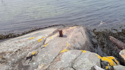 Rusten T-bolt i Narestø