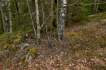 Dalebakk, Syrtveit, Evje, steingjerde