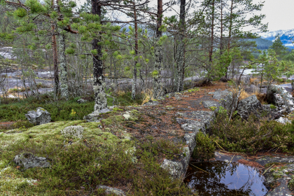 Hagefoss, Otra, Valle, flotingsmur