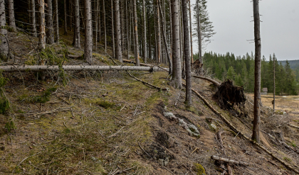 H&aring;tveit, Evje, gardsveg