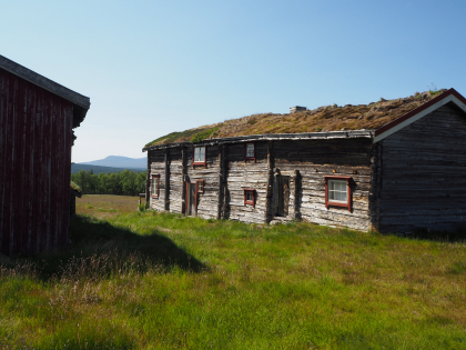 Fjølburøsta