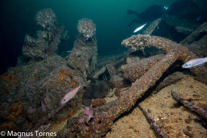 Frakteskuten \"Vika\"