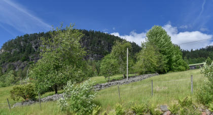 Austen&aring;, Tovdal, &Aring;mli, rydningsr&oslash;ys/steingjerde