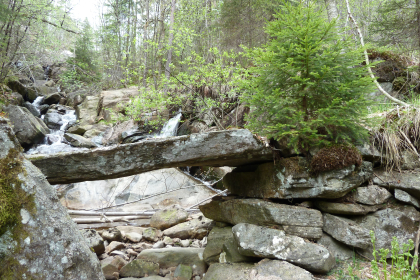 Den setesdalske kl&oslash;vvei, Farantsveien, Allemannveien (gammel kl&oslash;vvei)