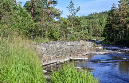Bellands&aring;na, Vegusdal, flotingsskjerm