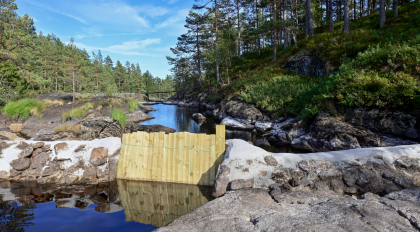 Bellands&aring;na, Vegusdal, stem