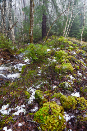 Besteland, Hylestad, steingjerde