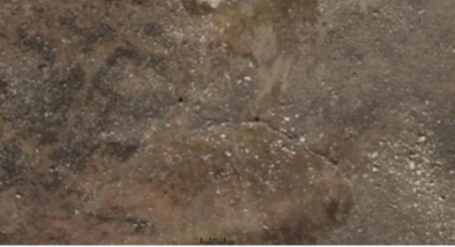 Skorheimsgravhalsane 1 - fangstanlegg for rein