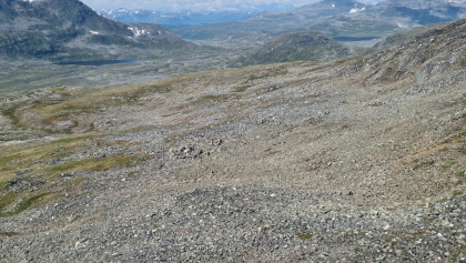 Skorheimsgravhalsane 3 - fangstanlegg