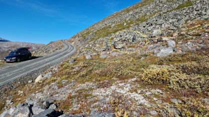 Gravadalen 3 - bogestille/gjerde