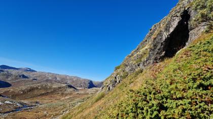 Gravdalsbakkane 2 - Heller med muring og spiker