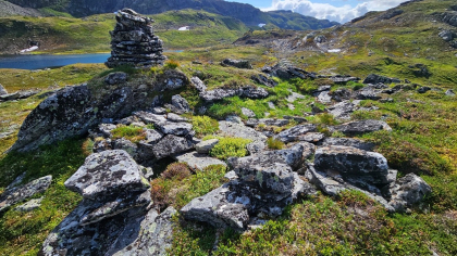 Vassosen st&oslash;l - Vassdalane/Ennebakkfjellet