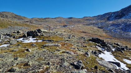 Gravadalen 2 - bogestiller