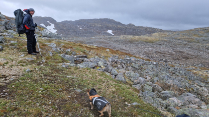 Gravadalen &oslash;vre 1 (nord&oslash;st) - fangstgrav  