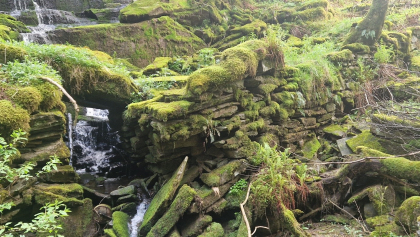 Vesetgjelet Oster&oslash;y - broer og vegfar 1