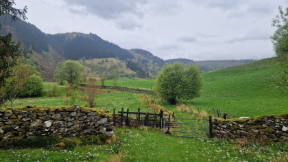 &Oslash;vste Mjelda - geil
