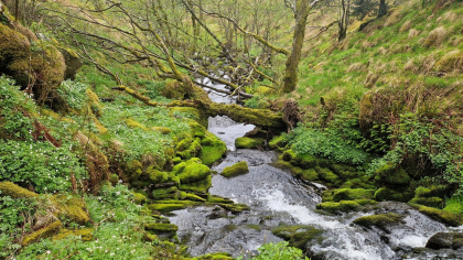 Kvernhustuft 2- Mjeldalen