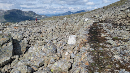 Skorheimsgravhalsane 2 - bogestille 