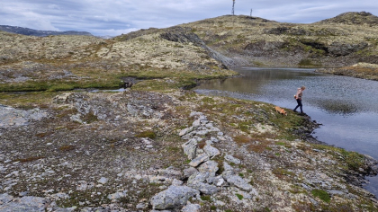 H&aring;vaskarsnuten - stemme HT 81-3, Storhovdvatnet