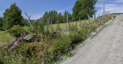 Brottveit, Valle, steingjerde