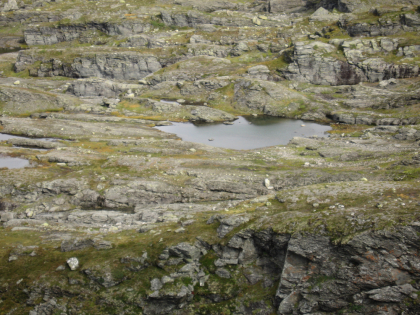 Brudled i Uraskaret
