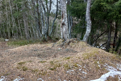 Her p&aring; Bergan p&aring; Saupstad vises enn&aring; skyttergravene etter den tyske okkupasjonsmakta.