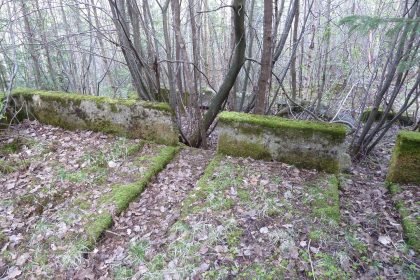 Ravn&aring;s, buhustuft