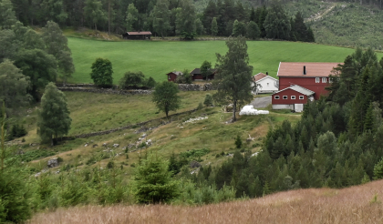 Der auste, Uleberg, Hornnes, fegate