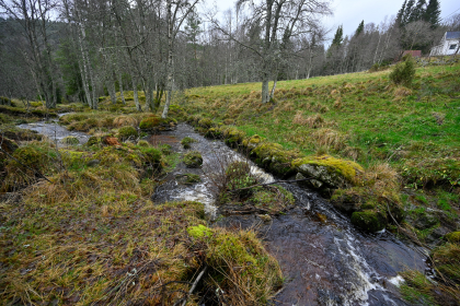 Der Nor, Tveit, Evje, kverntuft