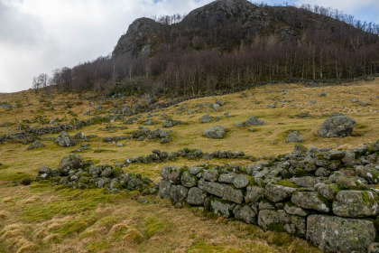 Rishammaren, Husmannsplass