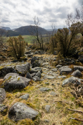 St&oslash;lsbrekko - veganlegg