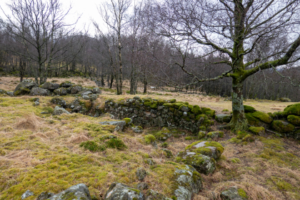 Hodlen, Husmannsplass