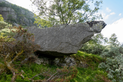 Tol&oslash;&aring; - utmarksl&oslash;e