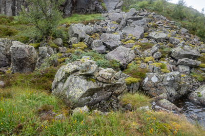Steinsetting 