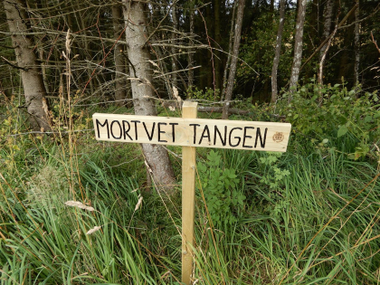 3118 521 Mortvedttangen u. Rud, gnr. 182/4