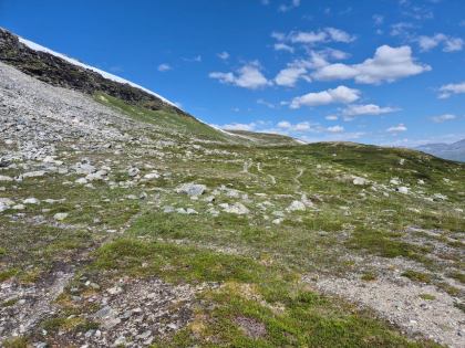 To fangstgroper ved Grønhøa, grensefjell Lesja-Rauma