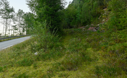 Gamle Eikerapsvegen, &Aring;seral