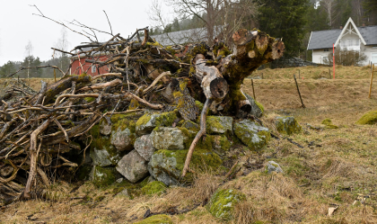 Engesland, Vegusdal, Birkenes, tuft