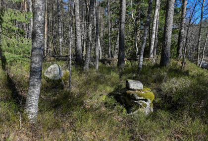 Engesland, Vegusdal, Birkenes, sagtuft