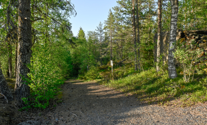 Flåt nikkelgruve, Evje, gamal gruveveg