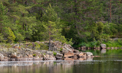 Furholtia, Vegusdal, oppmuring