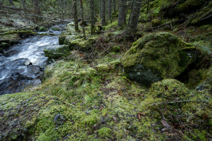 Galteland, Evje, sagtuft