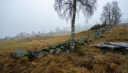 Kalvehagen, Gautestad, Evje, steingjerde