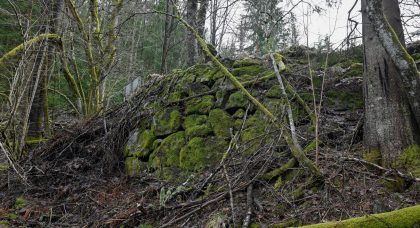 Nye Gl&aring;pevegen, Bjelland, st&oslash;ttemur